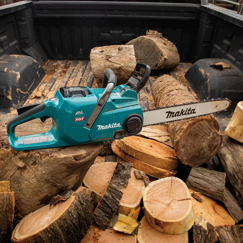 BLACK+DECKER LCS1020 Chainsaw Review – Forestry Reviews
